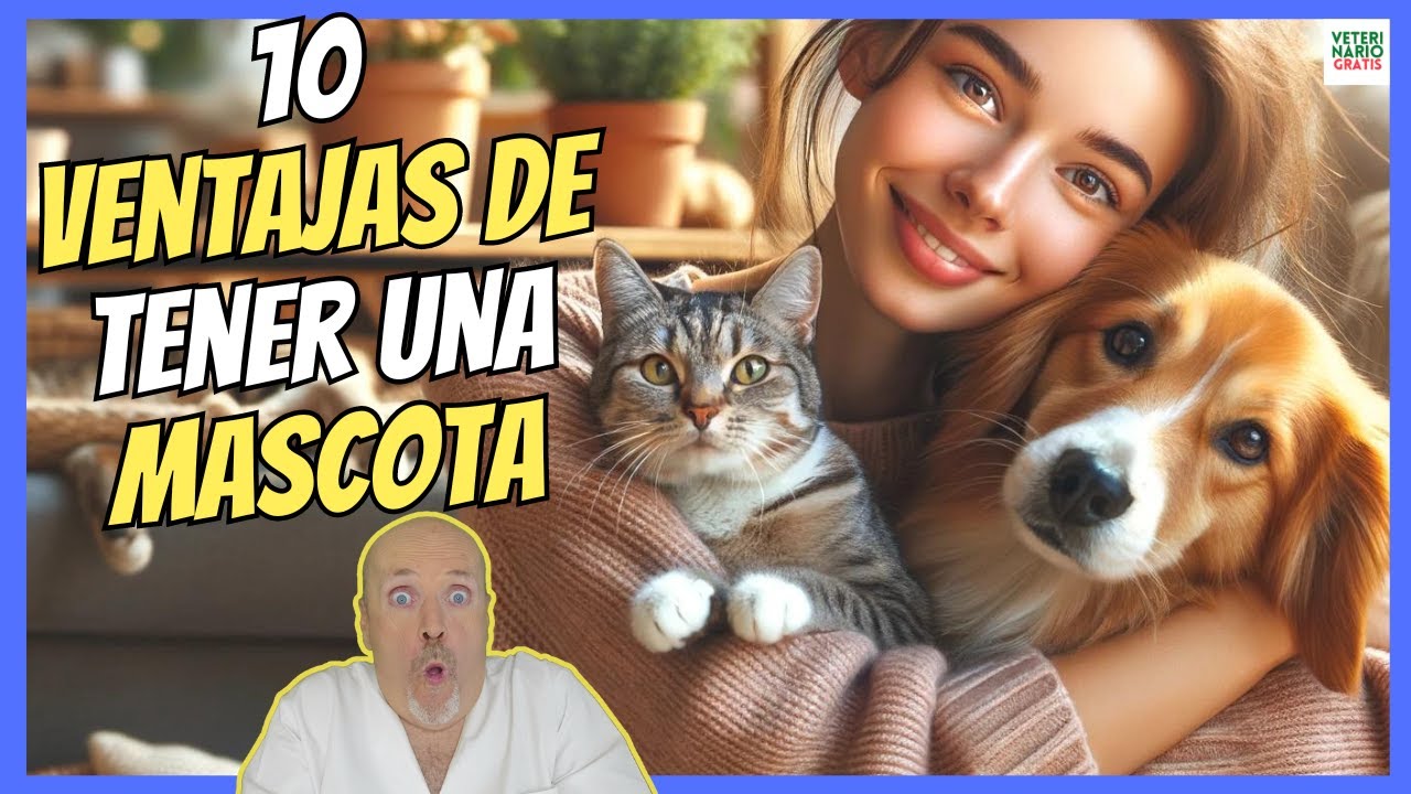 10 ventajas de tener una mascota