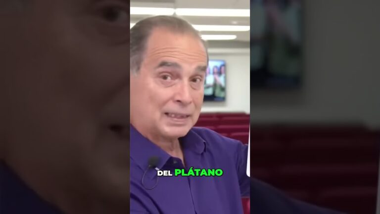 alimentos prohibidos dieta 1 2 3