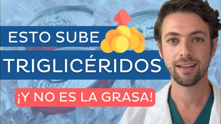 alimentos q suben los triglicéridos