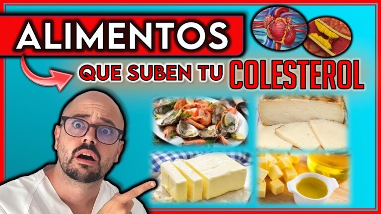 alimentos que suben el colesterol malo