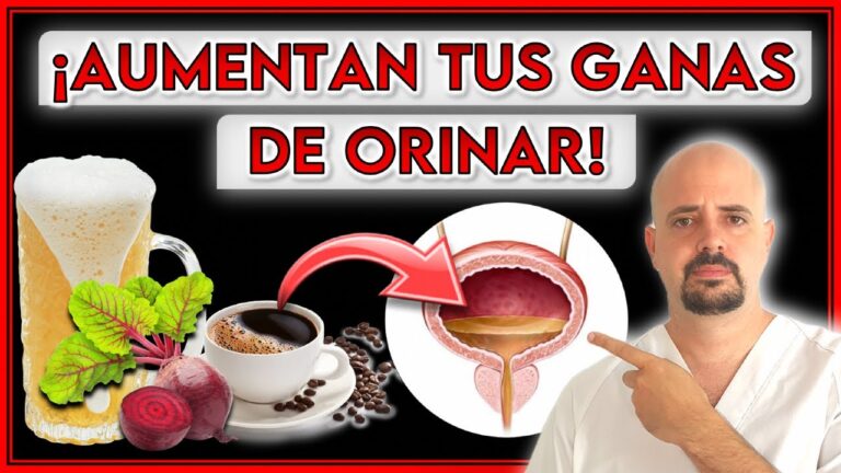 alimentos que te hacen orinar mucho