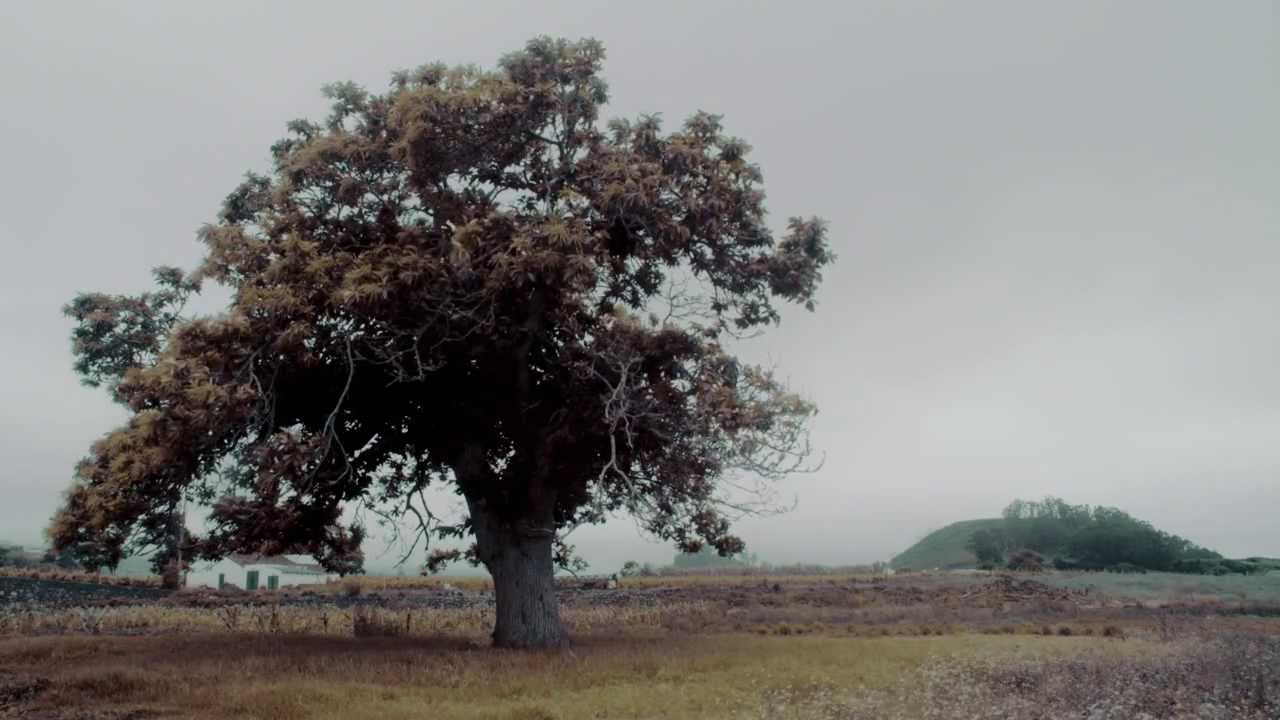 asociacion europea compañia de seguros