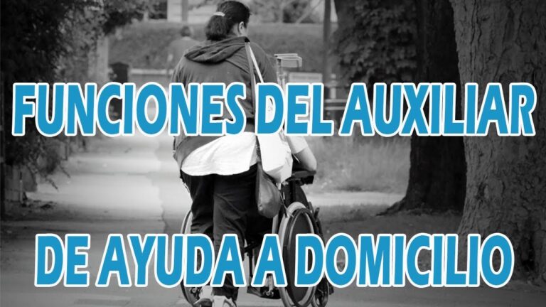 auxiliar de ayuda a domicilio funciones