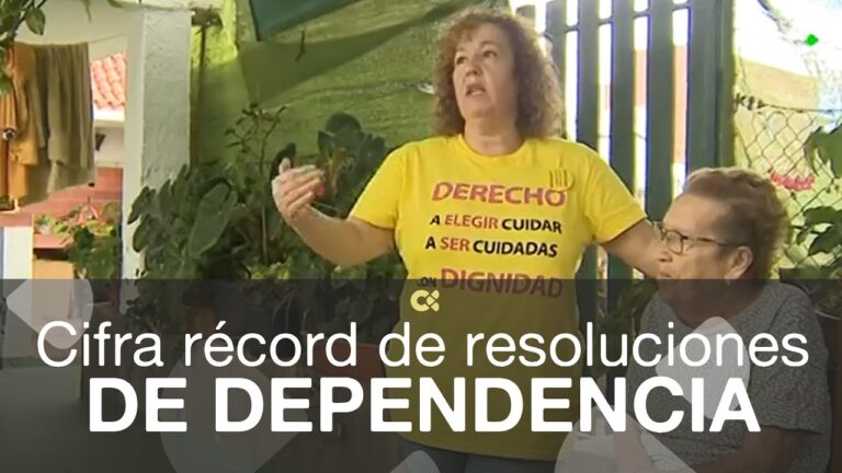 ayuda a la dependencia canarias