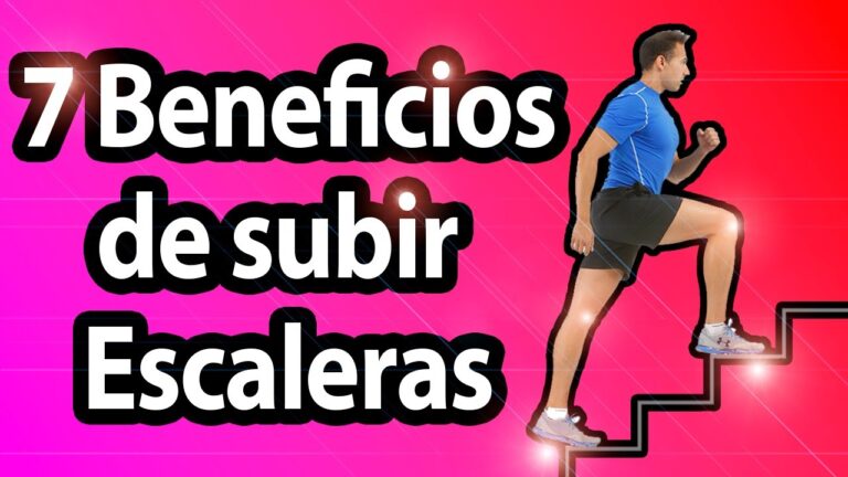 ayudas para subir y bajar escaleras