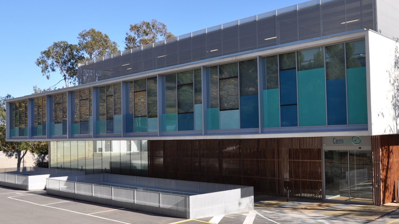 centre d'esclerosi múltiple de catalunya cemcat