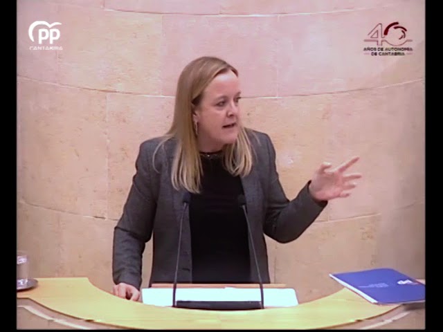 centro de dia castro urdiales