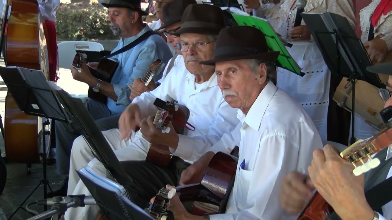 centro de mayores la orotava