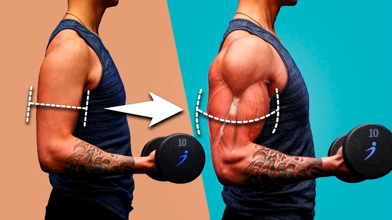 como ganar masa muscular en los brazos