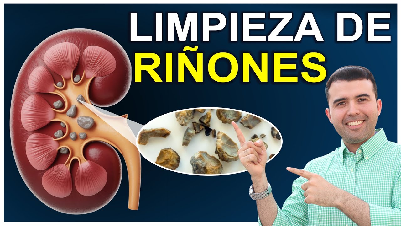cómo limpiar los riñones rápidamente
