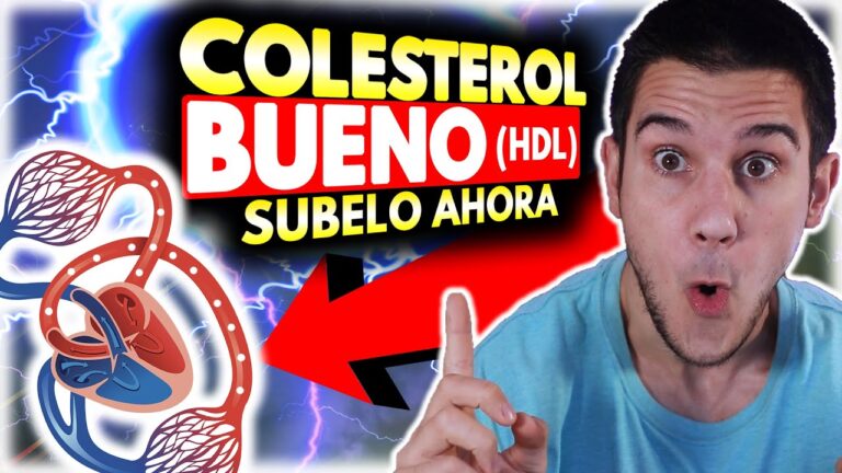 como subir el hdl de forma natural