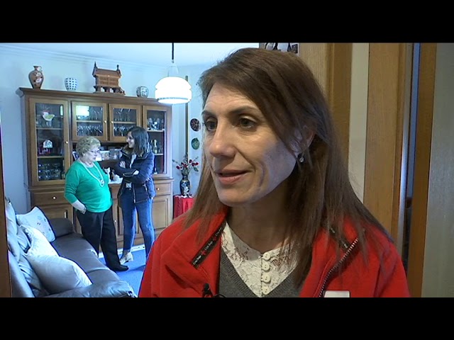 cruz roja asistencia a mayores