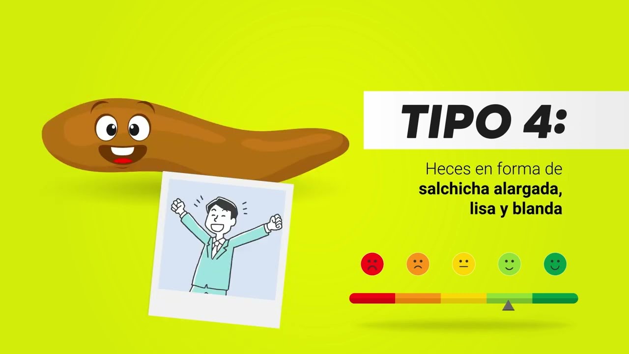 cuál es la escala de bristol