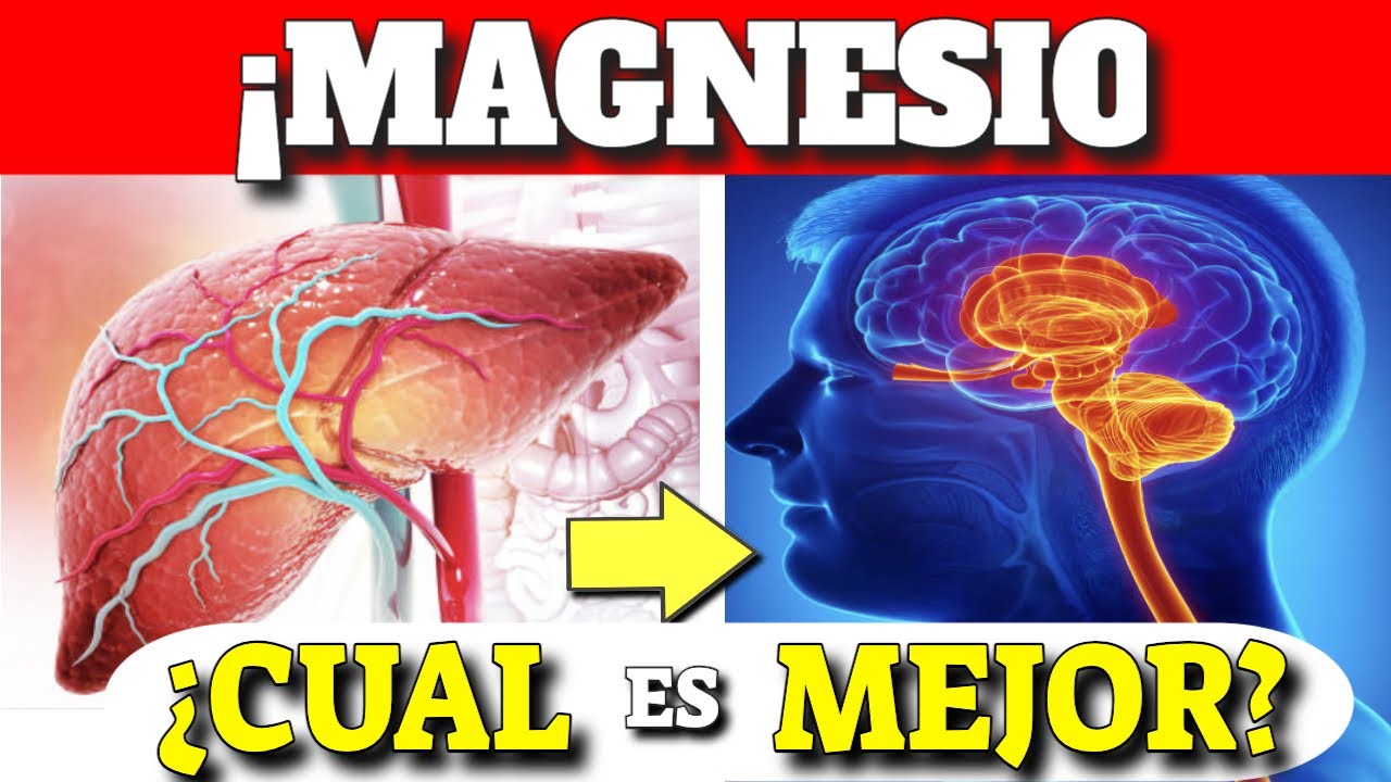 cual magnesio es bueno para el cerebro