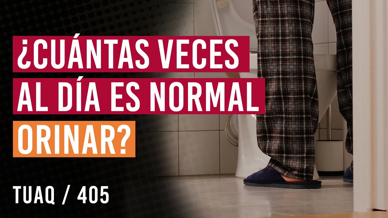 cuantas veces se mea al dia
