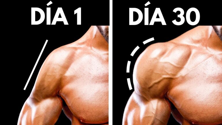 cuanto se tarda en ganar masa muscular