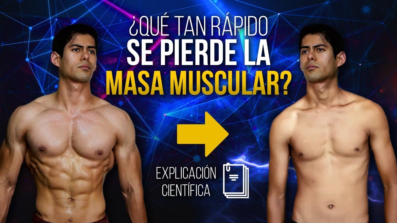 cuanto se tarda en perder masa muscular