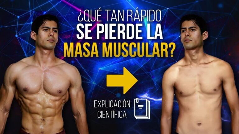 cuanto se tarda en recuperar la masa muscular pérdida