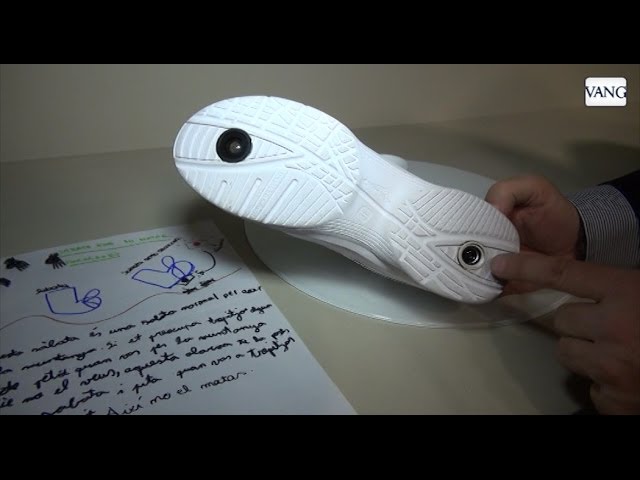 cuidadores de perros dos hermanas