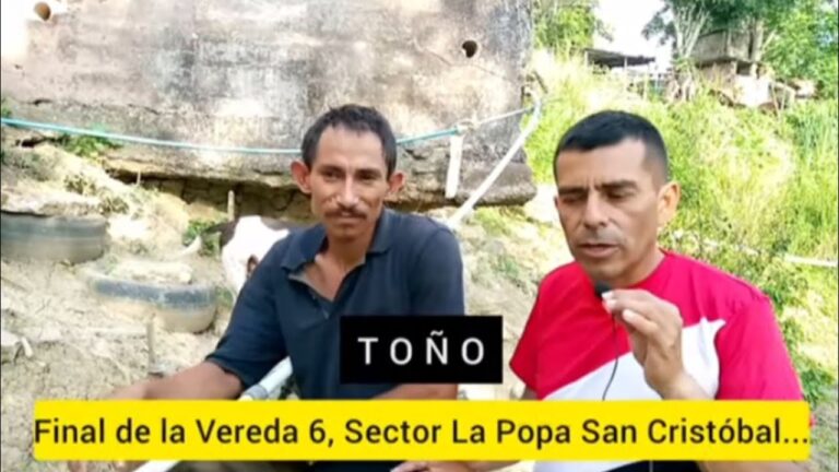 cuidadores de perros san cristóbal de la laguna