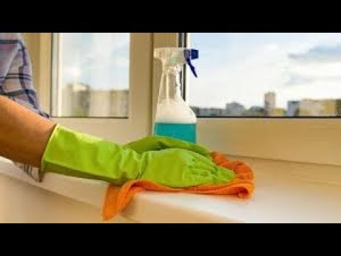 dar de baja empleada hogar