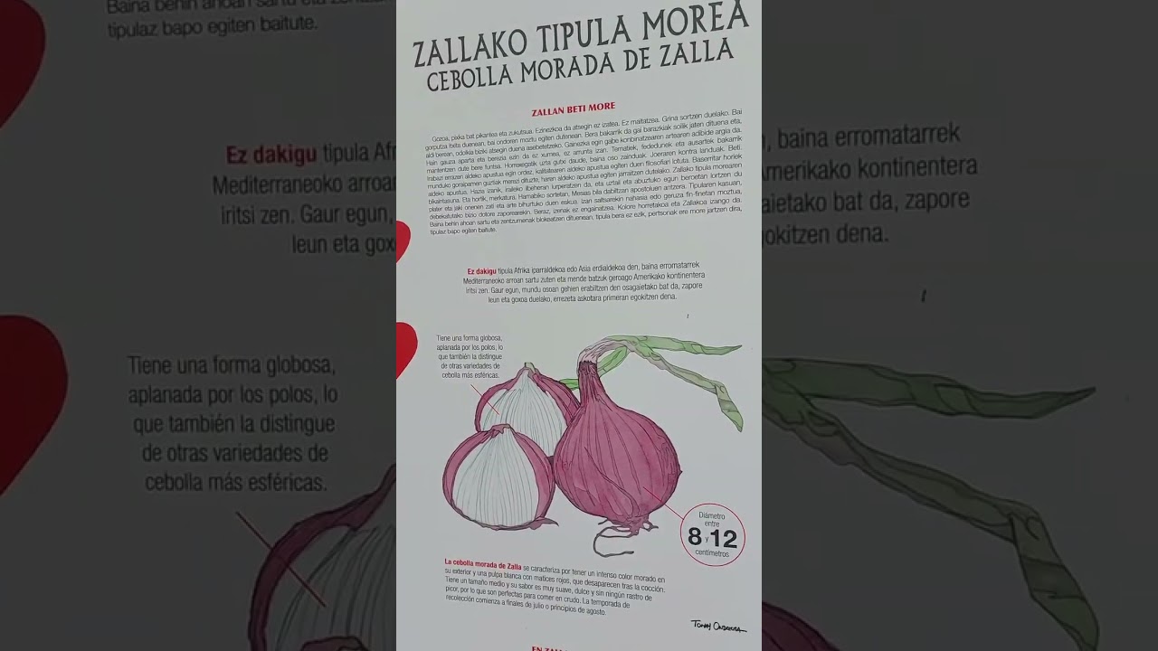 de bizkaia de toda la vida