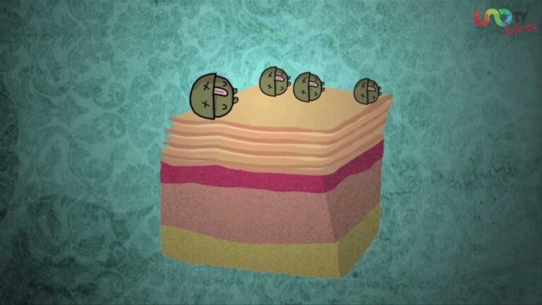 de donde salen los callos