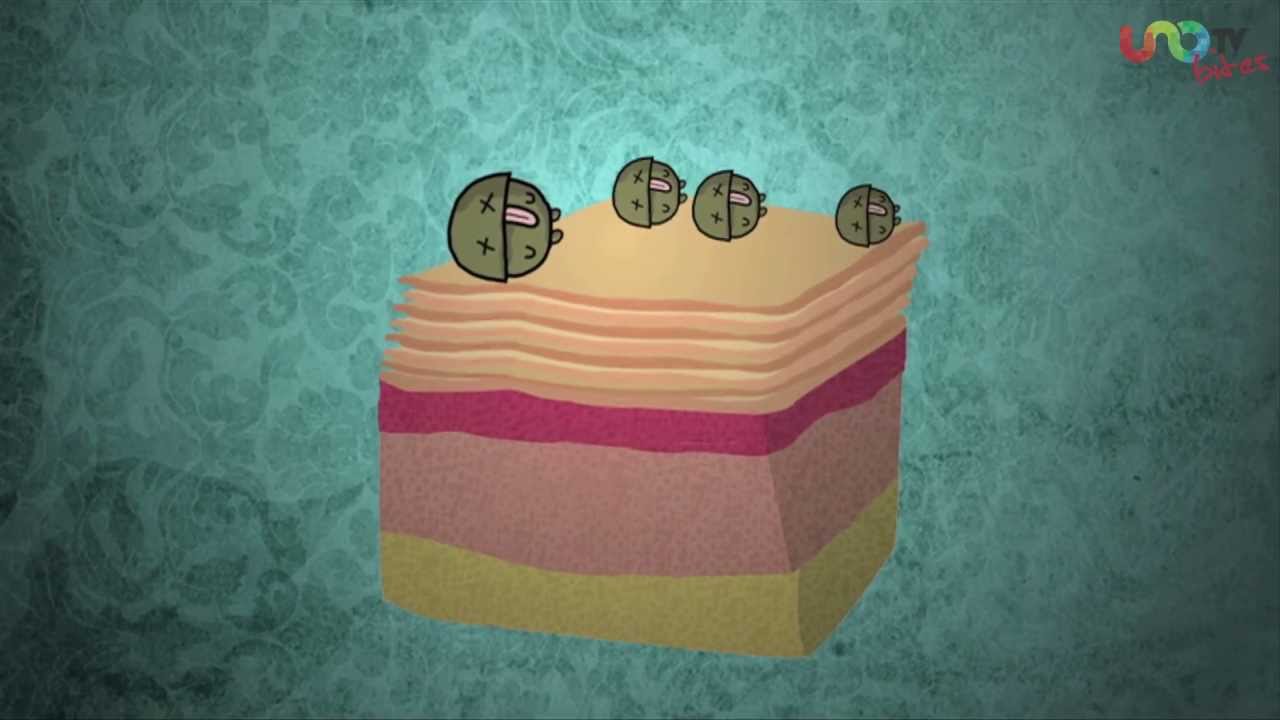 de donde salen los callos