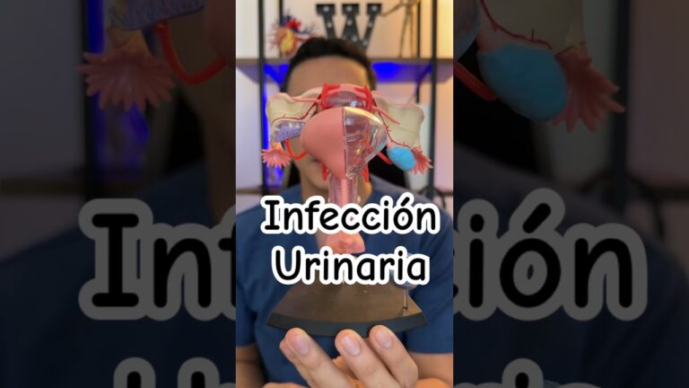 deterioro cognitivo por infección urinaria