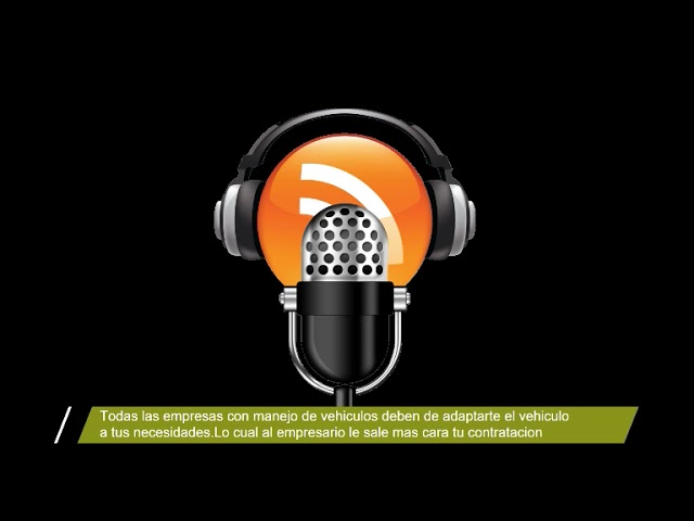 discapacidad visual 33 por ciento