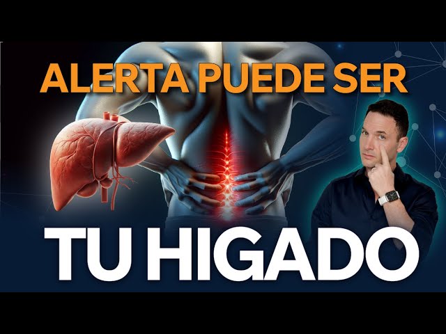 dolor de hígado y espalda