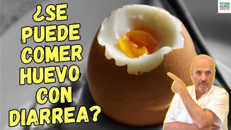el huevo es bueno para la diarrea