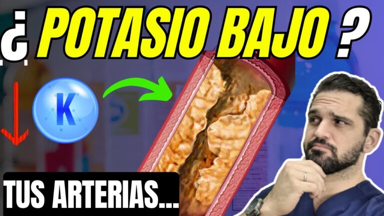 el potasio sube o baja la tensión