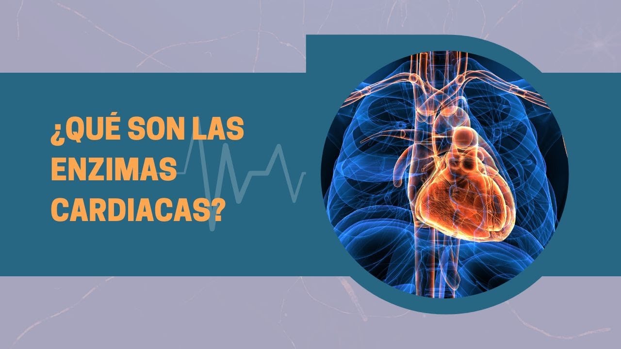enzimas altas en el corazon
