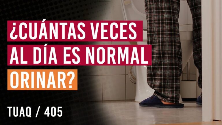 es normal orinar muchas veces al dia