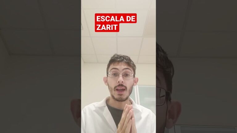 escala de zarit para que sirve