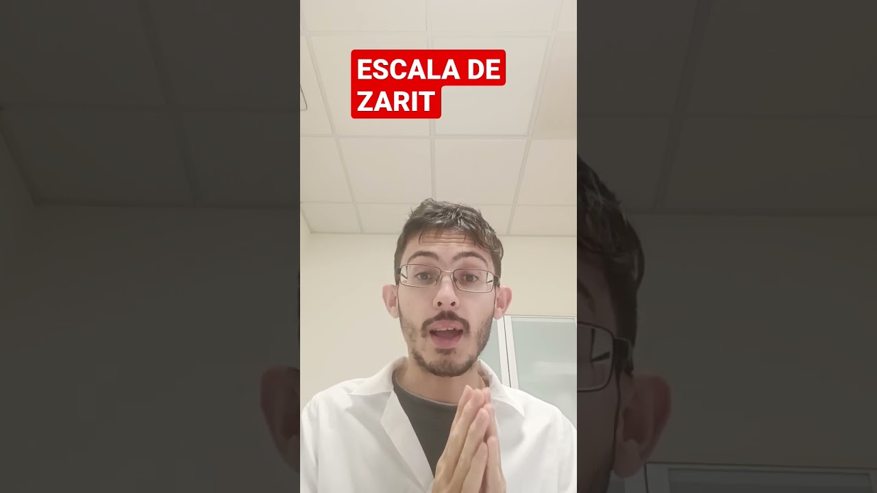 escala de zarit para que sirve