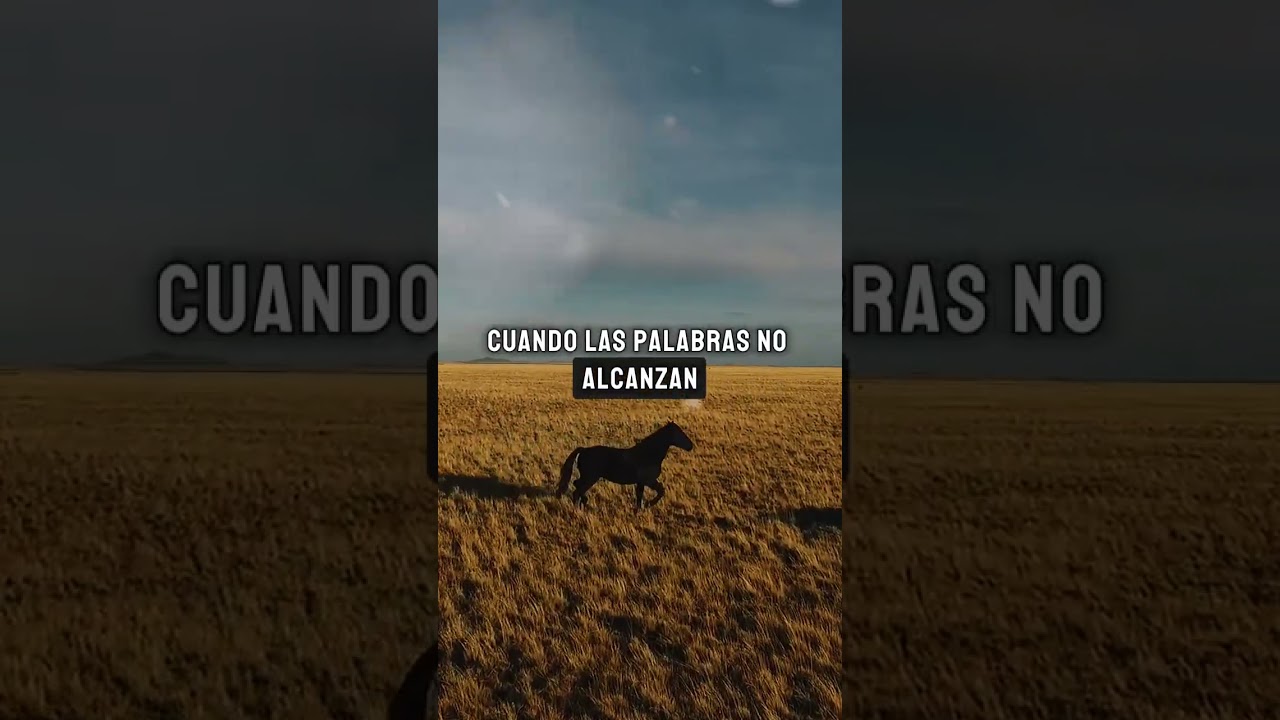 frase corta dia del padre