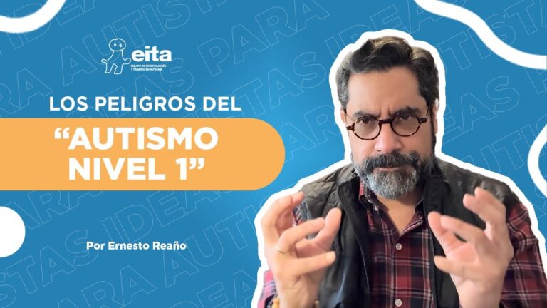 grado discapacidad tea grado 1