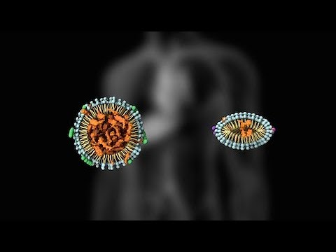 hdl es colesterol bueno o malo