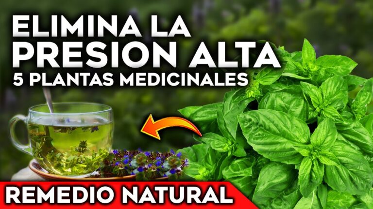 hierba para bajar la tensión