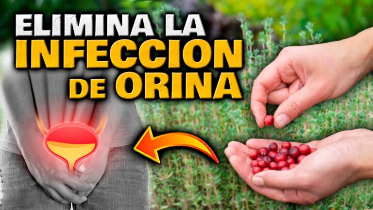 hierbas para infección urinaria manzanilla