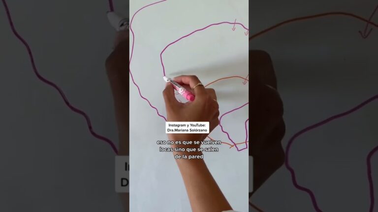 infección de orina y problemas digestivos