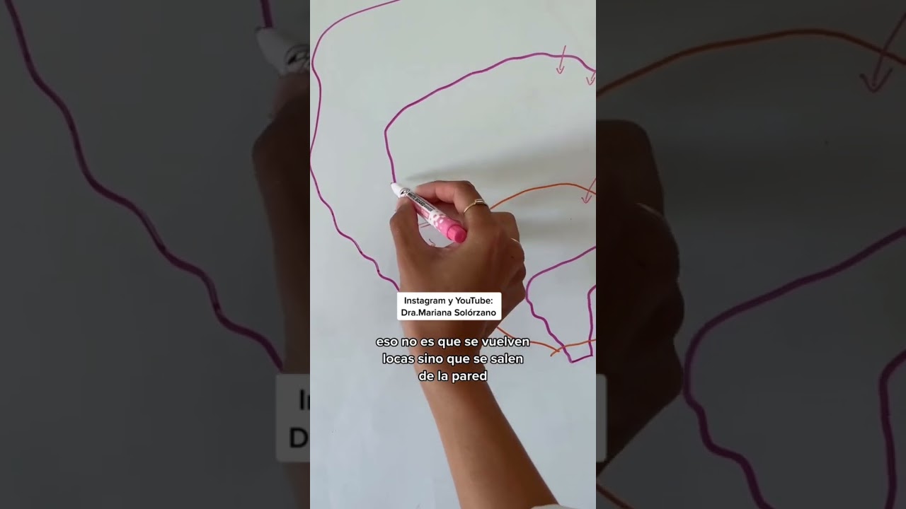 infección de orina y problemas digestivos