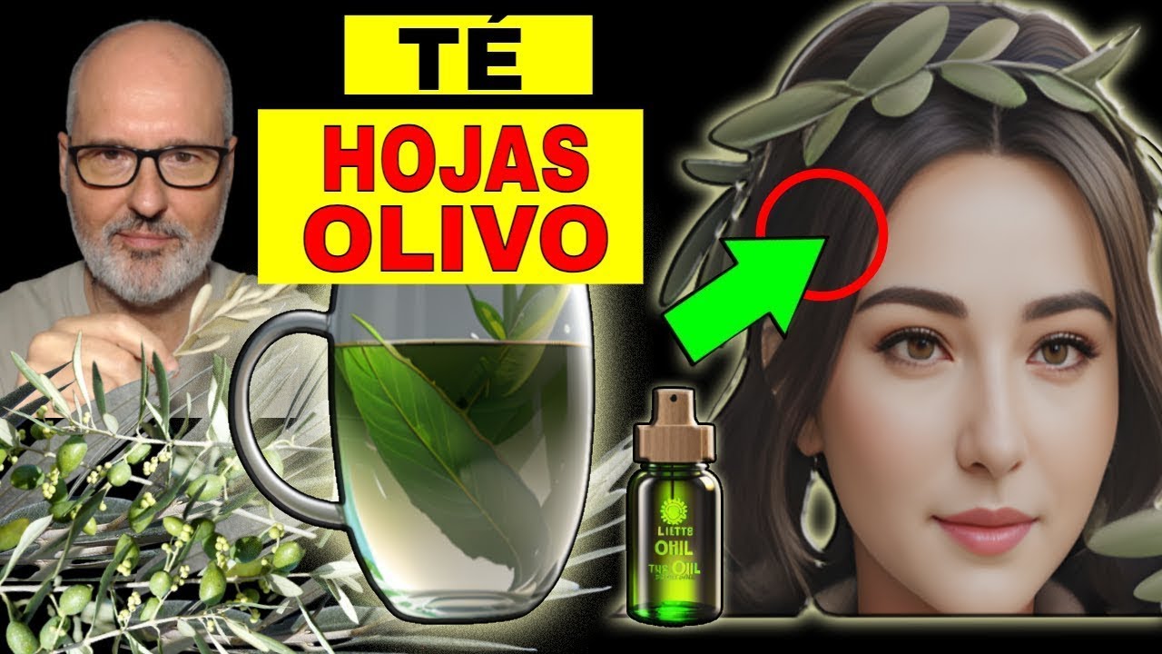 infusión de hojas de olivo para la tensión
