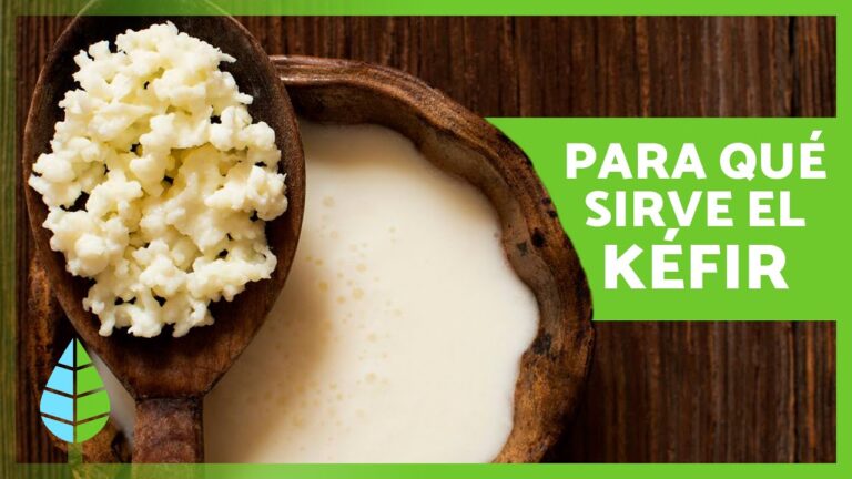 kéfir que es y para que sirve