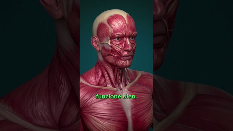 la artrosis es muy dolorosa