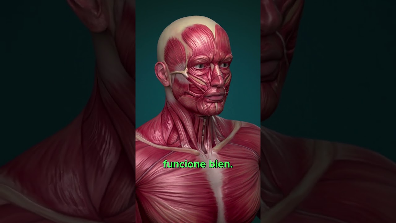 la artrosis es muy dolorosa