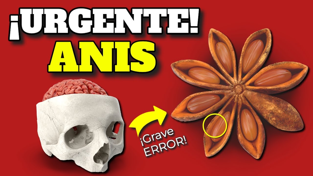 la manzanilla con anis sube la tension