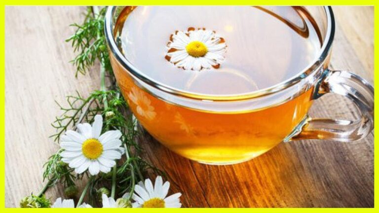 la manzanilla es buena para la infeccion de orina